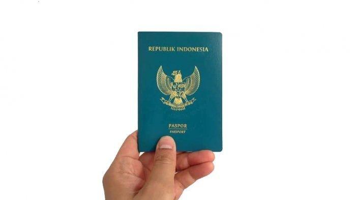 jasa urus paspor