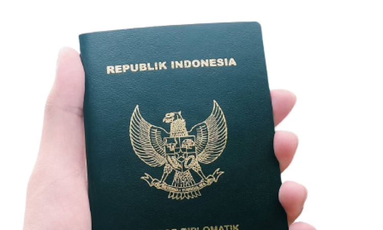 e-paspor diplomatik